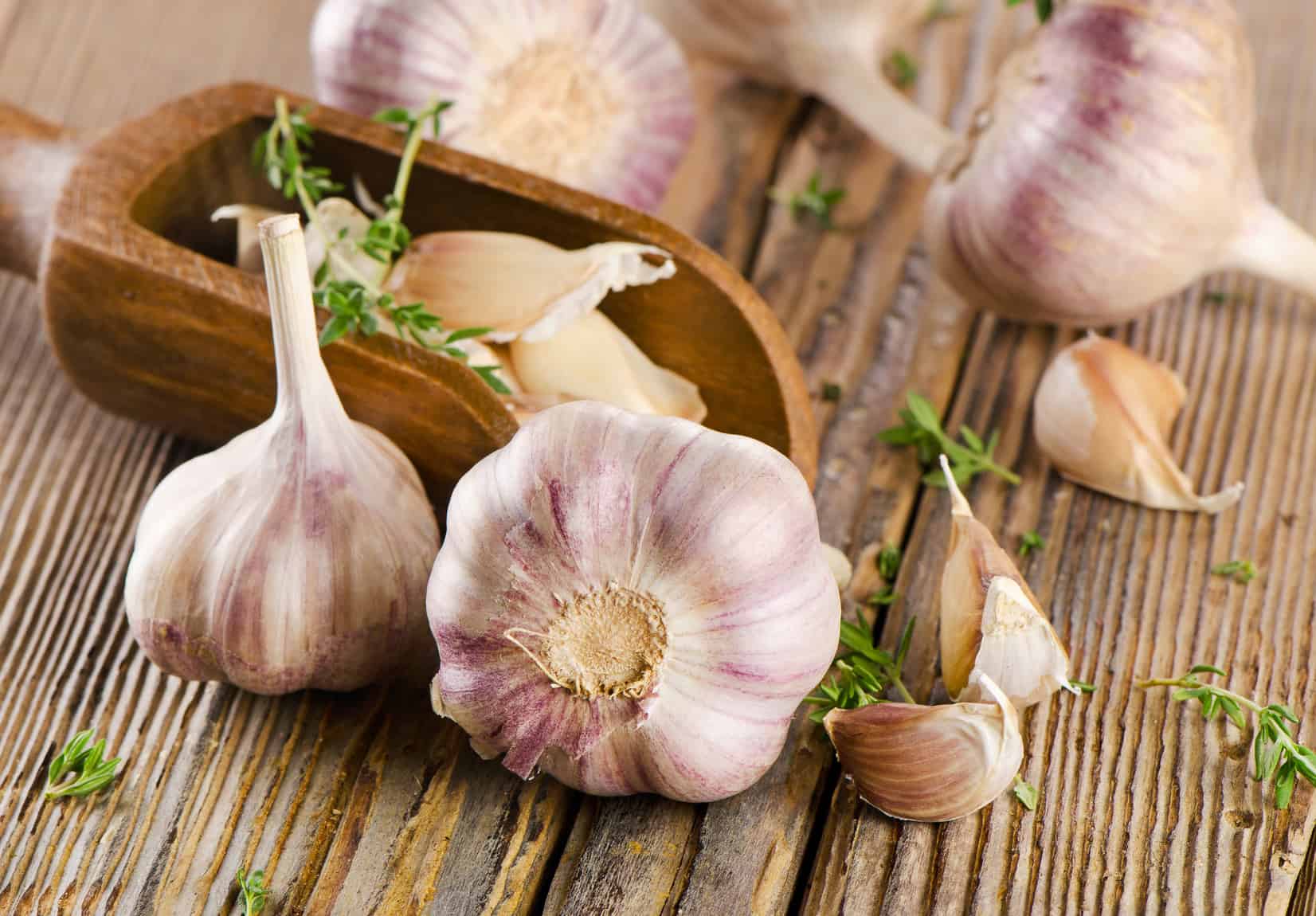 Best Garlic Supplements Fully Reviewed in 2022 – TheFitBay