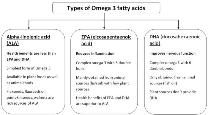 omega 3 and DHA