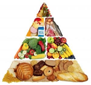 Food Pyramid