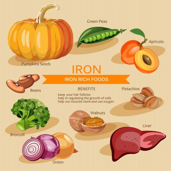 iron rich food