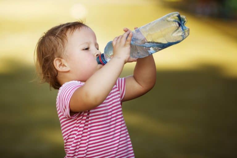 Drinking Water on a Daily Basis Myths and Facts TheFitBay