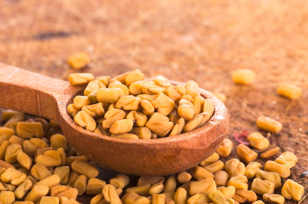 Best Fenugreek Supplements Reviewed in 2023 TheFitBay