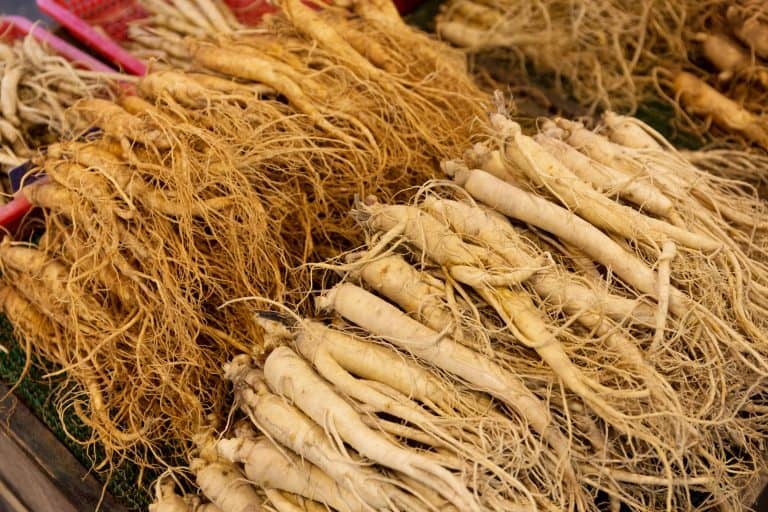 The 10 Ginseng Benefits You Must Know About TheFitBay