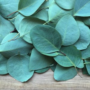 Ways Eucalyptus Oil Can Help You