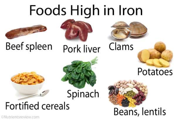 iron rich foods