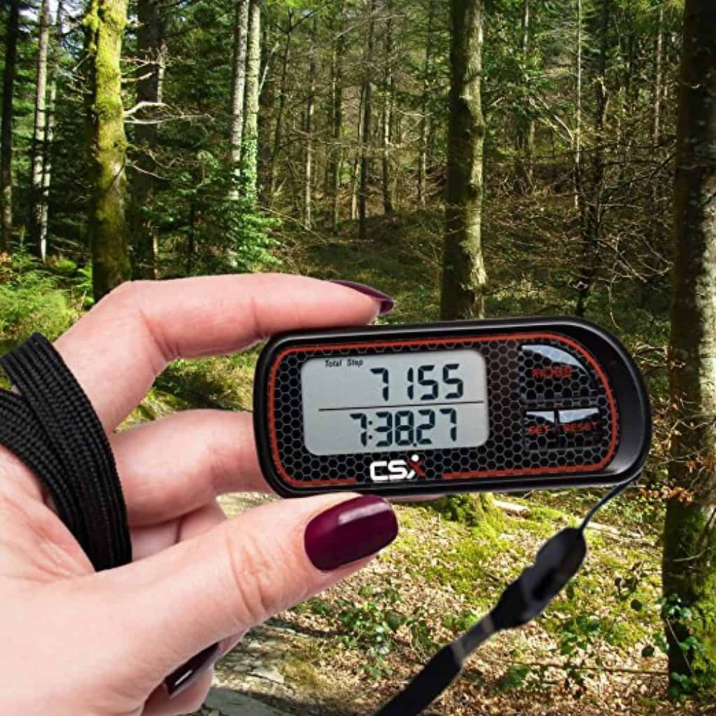 Best Pedometers Reviewed and Rated in 2023 TheFitBay