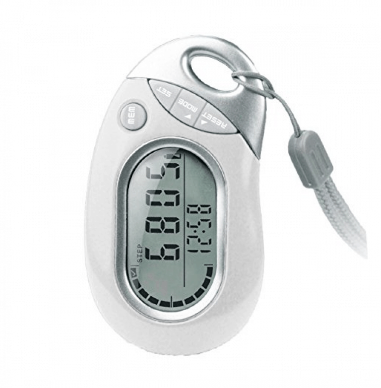 Best Pedometers Reviewed and Rated in 2023 TheFitBay