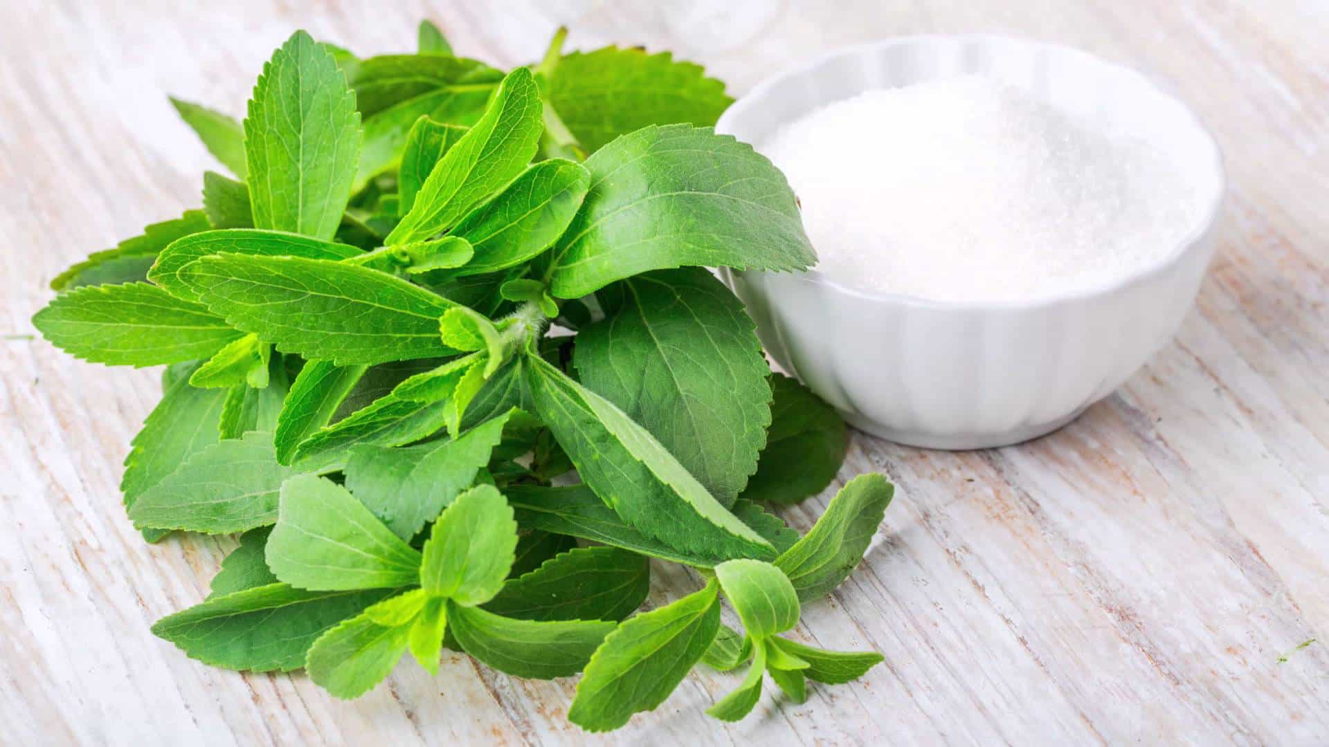 Best Stevia Products Reviewed And Rated In 2022 Thefitbay