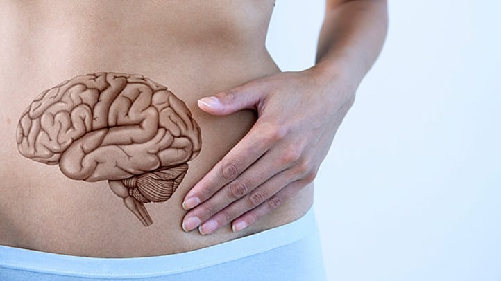 the gut brain connection