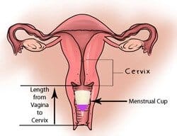 where to put a menstrual cup