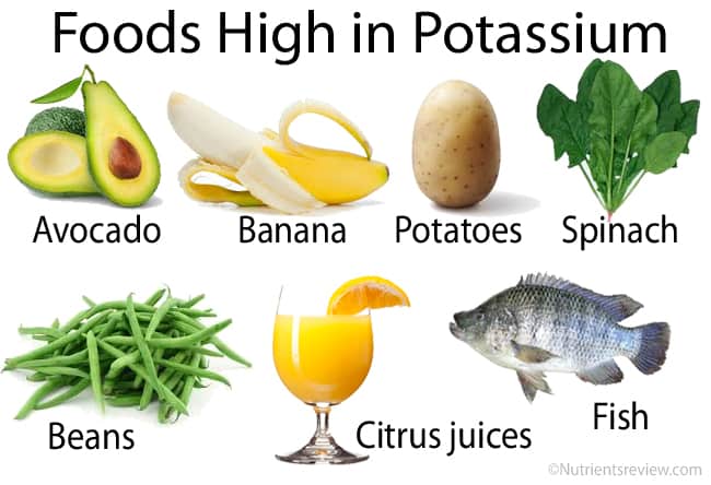 foods high in potassium