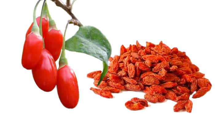 goji berry health benefits