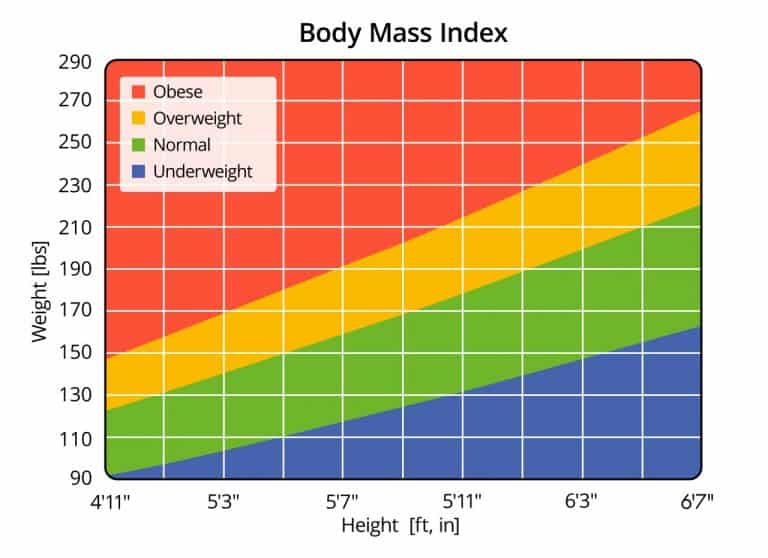 Body Mass Index: Overview, Calculation & How to Improve – TheFitBay