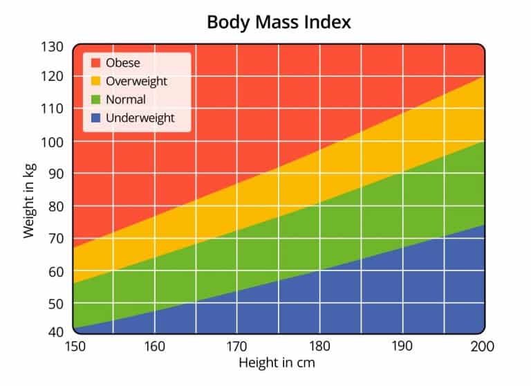 Body Mass Index: Overview, Calculation & How to Improve – TheFitBay