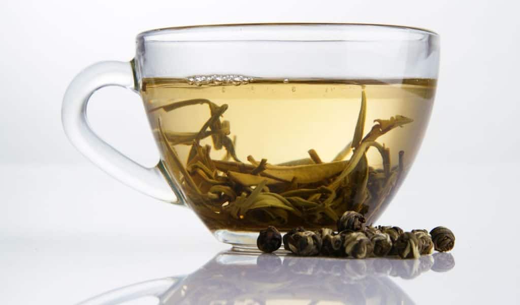 Best White Teas Reviewed and Compared in 2024 TheFitBay