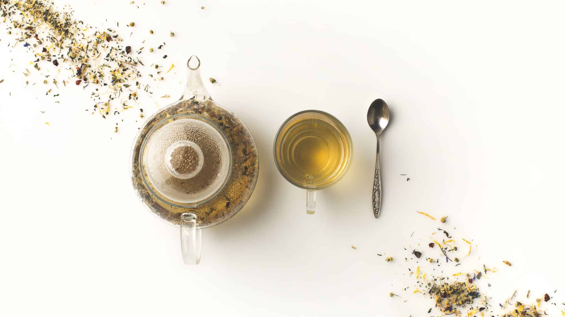 Best White Teas Reviewed and Compared in 2024 TheFitBay