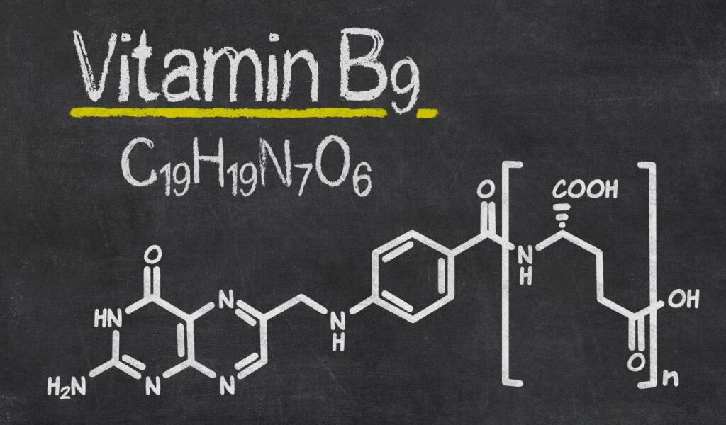 Folate vs. Folic Acid What’s the Difference and Which is Better?