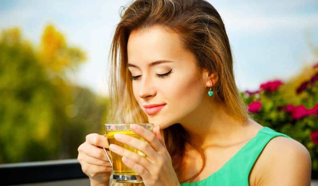 Best White Teas Reviewed and Compared in 2024 TheFitBay
