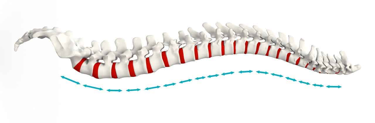 Spinal Decompression with Inversion Table