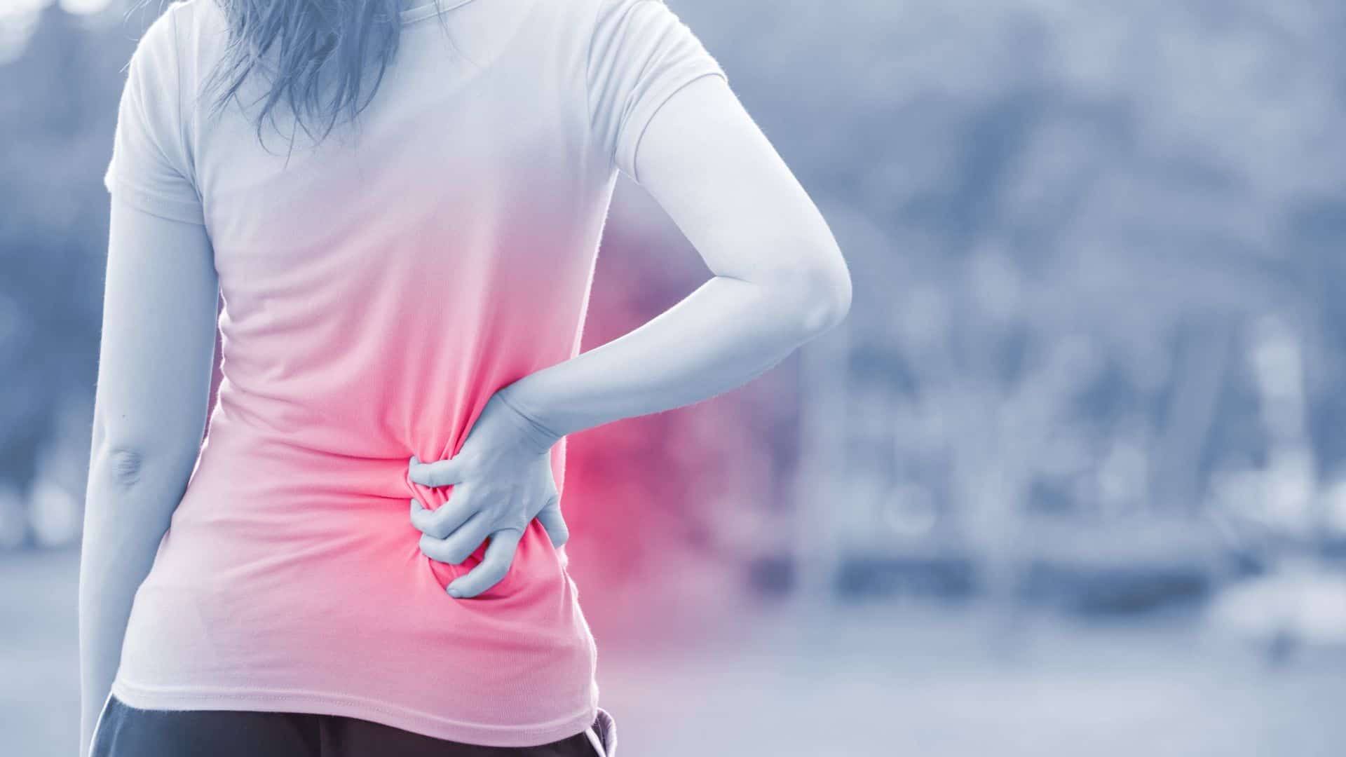 Do Inversion Tables Help Back Pain? TheFitBay