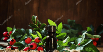 Find the right rosehip oil for your skin