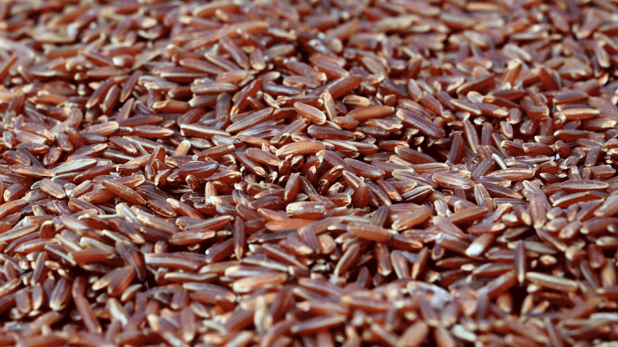 red yeast rice benefits 