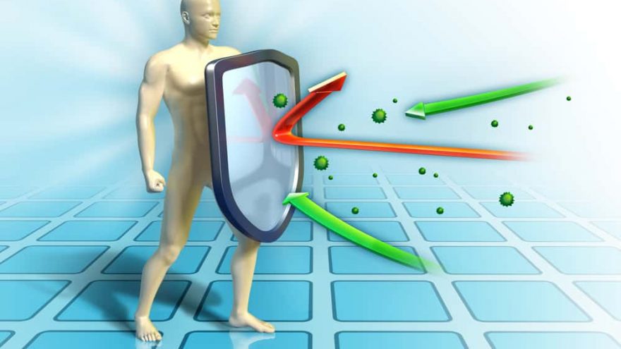 The Myths and The Facts About Boosting Your Immune System facts about immune system
