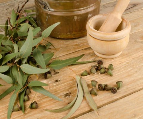 find out all the benefits of eucalyptus oil