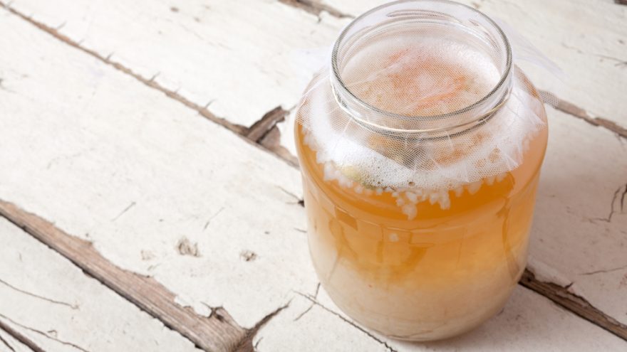 Health Begins in the Gut: The Benefits of Probiotics benefits of probiotics