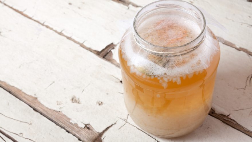 Health Begins in the Gut: The Benefits of Probiotics benefits of probiotics