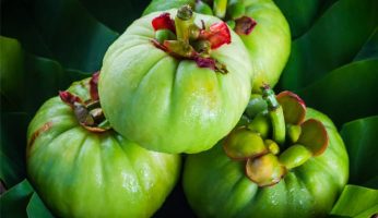 what is Garcinia Cambogia and what are the best brands?