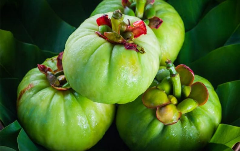 what is Garcinia Cambogia and what are the best brands?