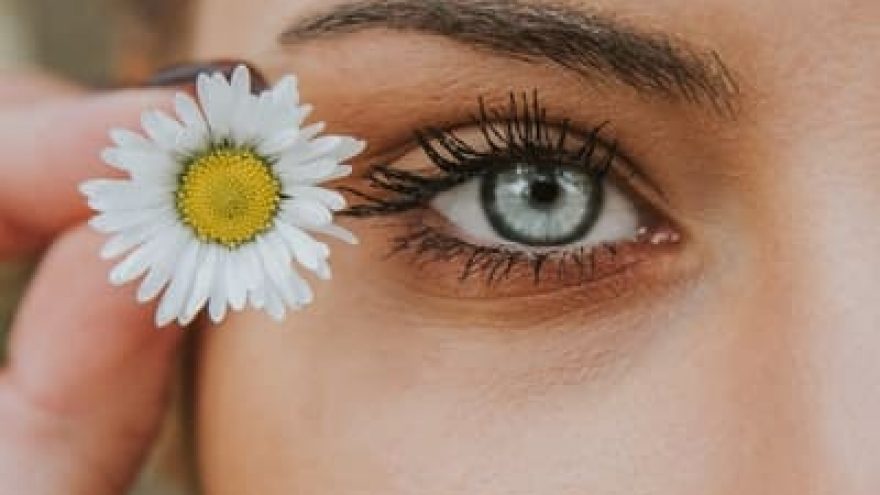 Hyaluronic Acid vs. Collagen — the Best in Beauty and Anti-Aging hyaluronic acid vs collagen