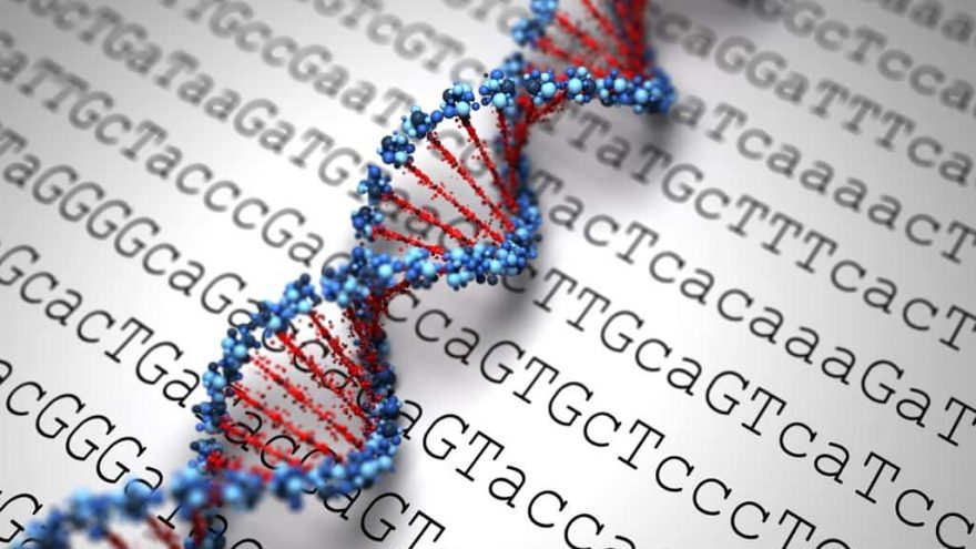 How Is Genetic Testing Done And Who Should Do It? how is genetic testing done