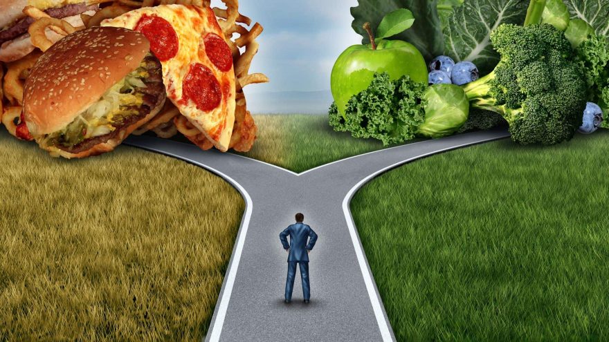 The Essential Principles of Holistic Diet Diet Decision