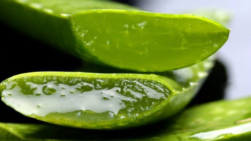 Should You be Drinking Aloe Vera? is aloa vera good for you