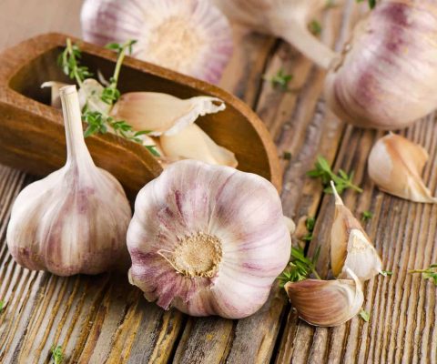 Garlic Supplements tested and the many benefits of taking it