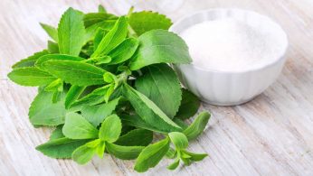 we reviewed the best stevia products on the market