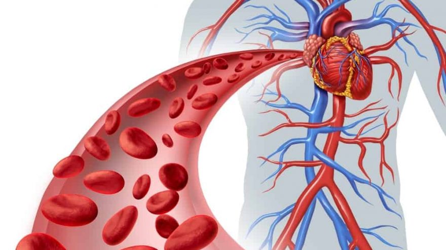 L-Arginine: the Anti Aging Booster best anti aging booster