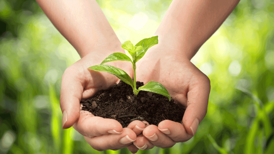 11 things it’s best to buy Organic! things best to buy organic