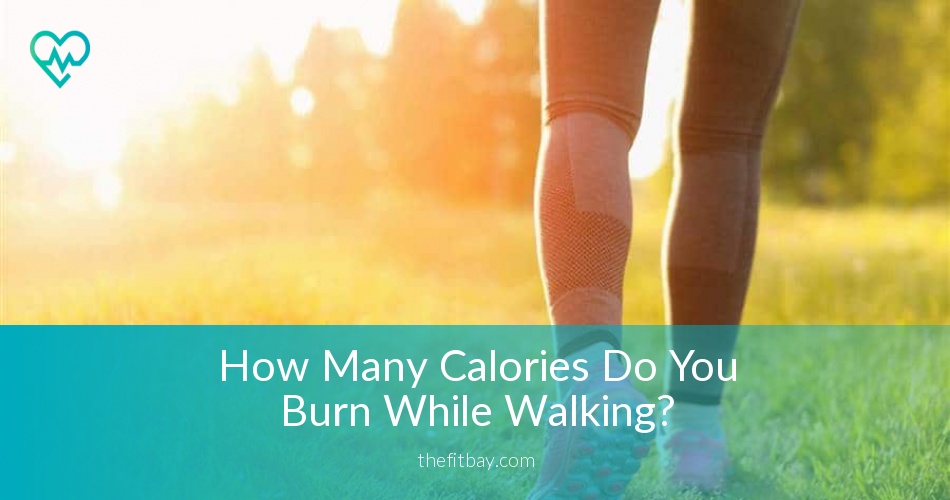 if you walk 4 miles how many calories do you burn